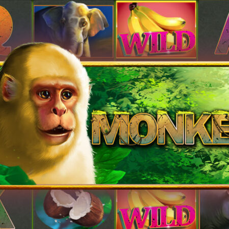 Игровой автомат Monkey от Playstar: Обзор и особенности