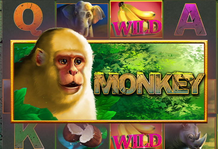 Monkey - Playstar