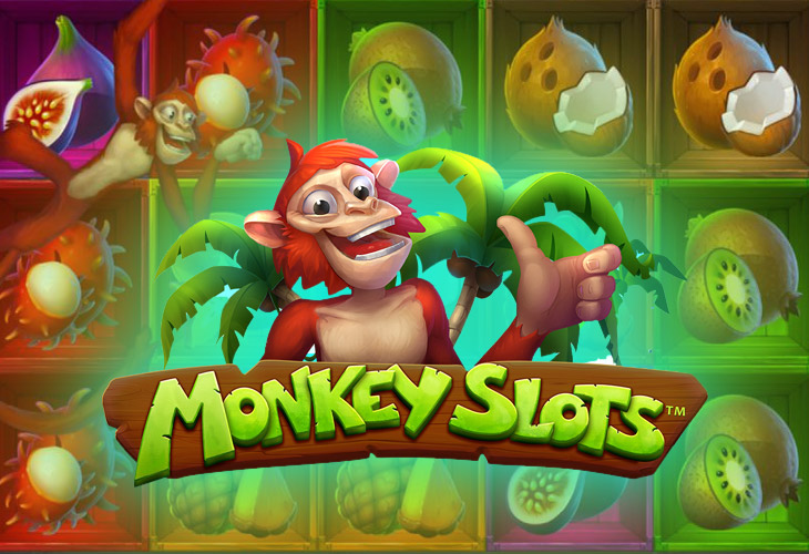 Monkey Slots - Synot Games