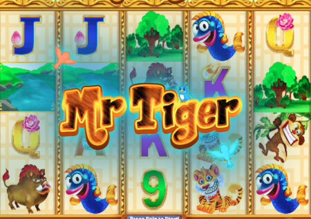 Mr Tiger от August Gaming: игровой автомат о животных