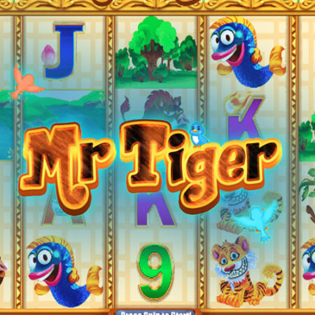 Mr Tiger от August Gaming: игровой автомат о животных