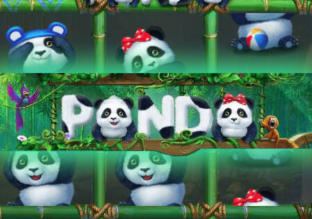 Игровой автомат Panda от Gameplay: играть и выигрывать