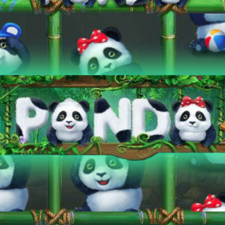 Игровой автомат Panda от Gameplay: играть и выигрывать