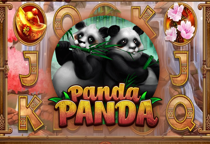 Panda Panda - Habanero