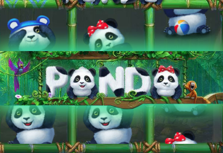 Panda - Gameplay