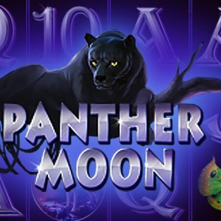 Игровой автомат Panther Moon от Playtech: обзор и стратегия