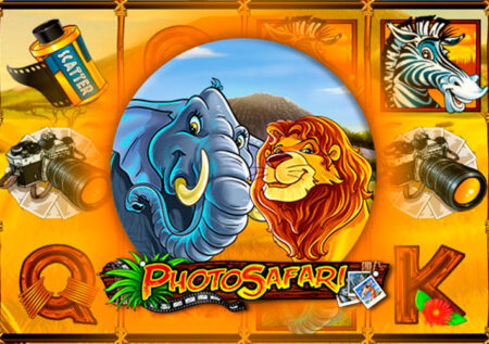 Photo Safari от Play’n GO: Обзор игрового автомата