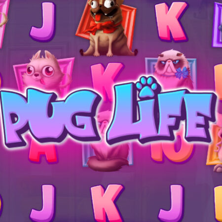 Игровой автомат Pug Life от Hacksaw Gaming о животных