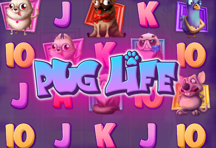 Pug Life - Hacksaw Gaming