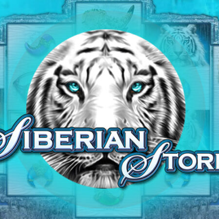Siberian Storm от IGT: обзор игрового автомата животные