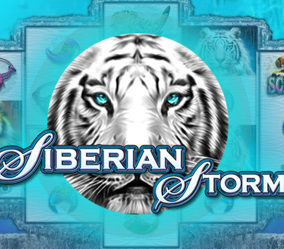Siberian Storm от IGT: обзор игрового автомата животные