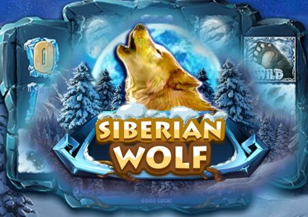 Siberian Wolf от Red Rake: Игровой автомат про животных