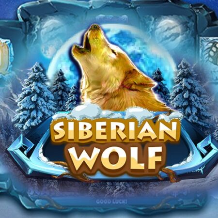 Siberian Wolf от Red Rake: Игровой автомат про животных