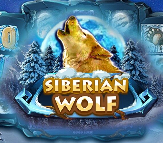 Siberian Wolf от Red Rake: Игровой автомат про животных