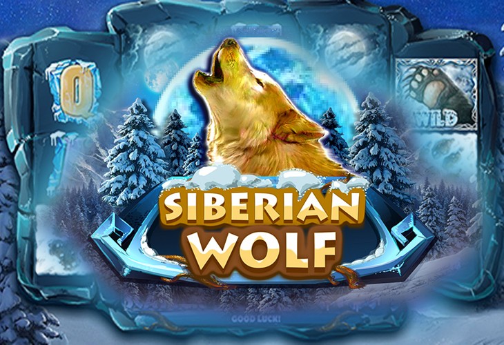 Siberian Wolf - Red Rake