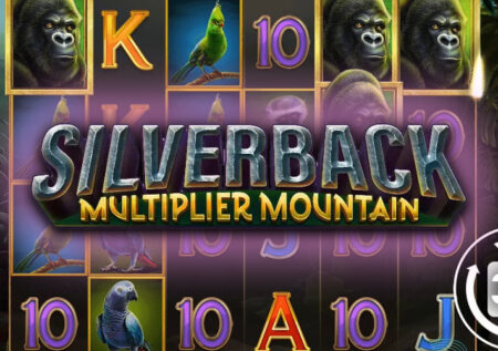 Silverback Multiplier Mountain от Microgaming: обзор игры