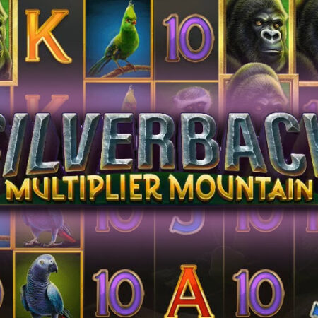 Silverback Multiplier Mountain от Microgaming: обзор игры