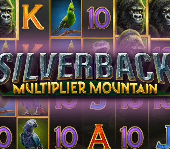 Silverback Multiplier Mountain от Microgaming: обзор игры