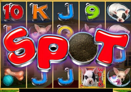 Игровой автомат Spot от GMW на тему животных