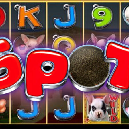 Игровой автомат Spot от GMW на тему животных