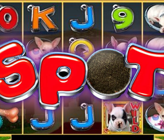 Игровой автомат Spot от GMW на тему животных