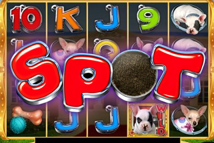 Spot - GMW