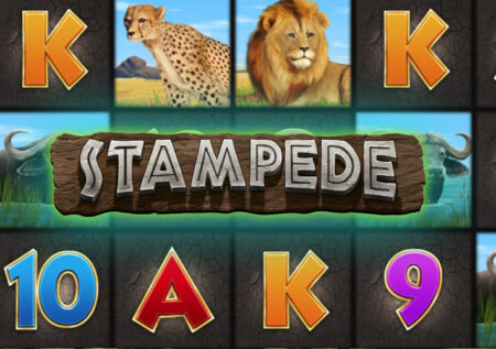 Игровой автомат Stampede от Eyecon: Животные в тематике