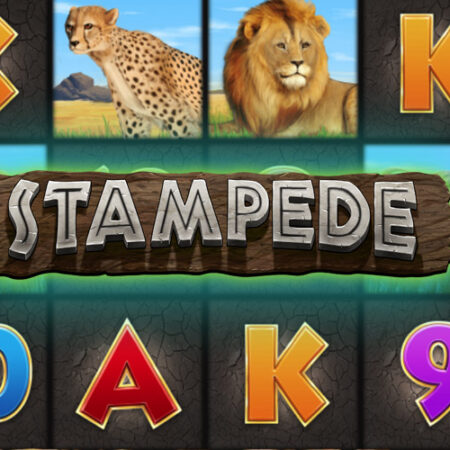 Игровой автомат Stampede от Eyecon: Животные в тематике