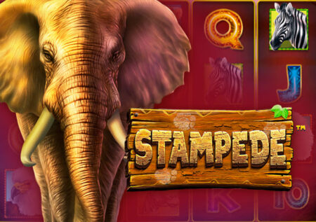 Игровой автомат Stampede от Betsoft: обзор и особенности