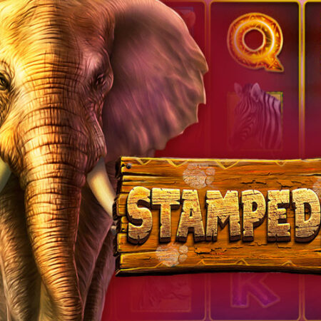 Игровой автомат Stampede от Betsoft: обзор и особенности