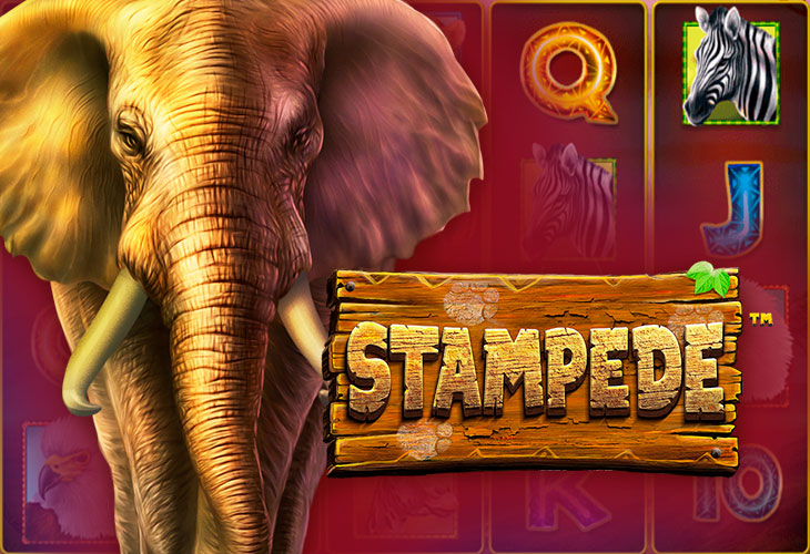 Stampede - Betsoft
