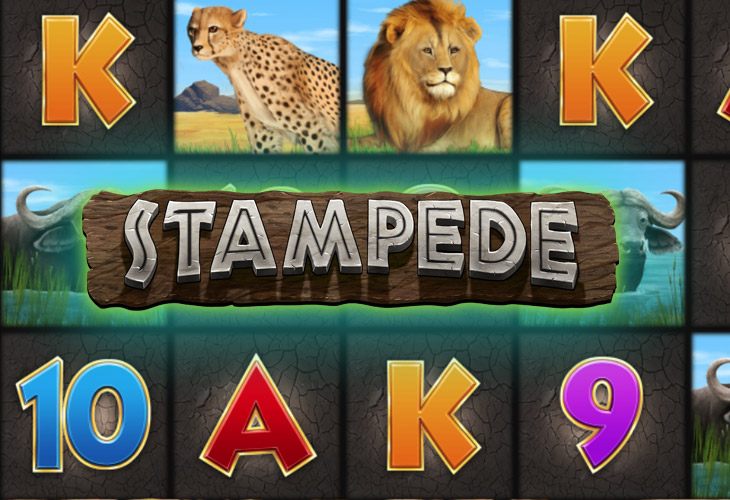 Stampede - Eyecon