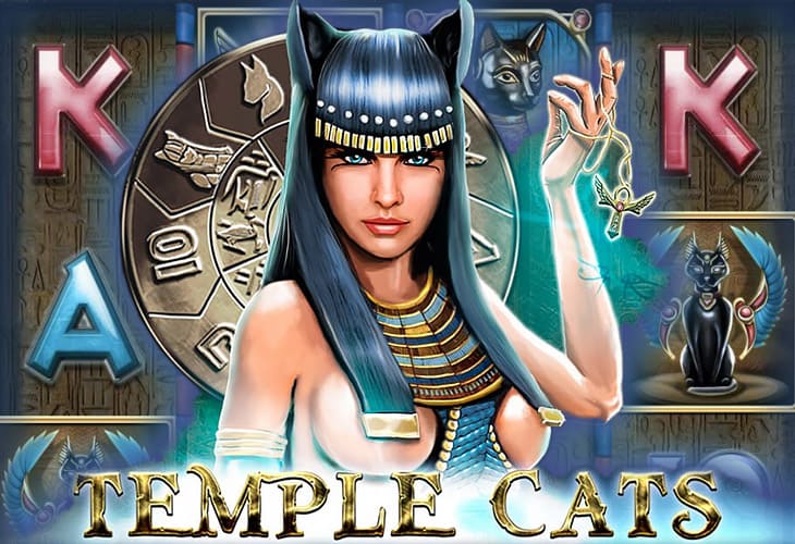 Temple Cats - Endorphina