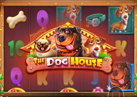 Игровой автомат The Dog House от Pragmatic Play