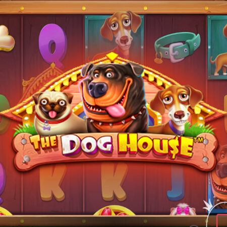 Игровой автомат The Dog House от Pragmatic Play