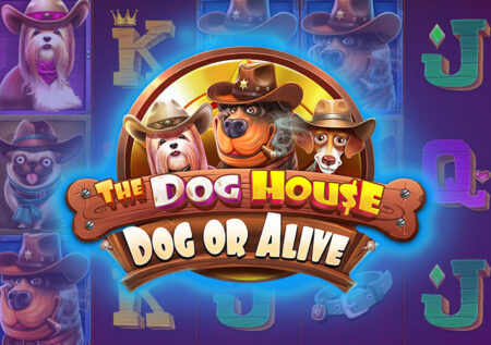 The Dog House — Dog or Alive от Pragmatic Play: Обзор игровых автоматов