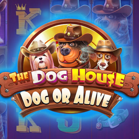 The Dog House — Dog or Alive от Pragmatic Play: Обзор игровых автоматов