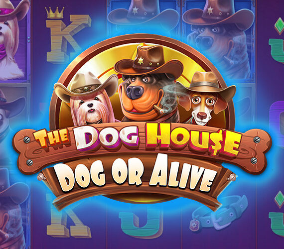The Dog House — Dog or Alive от Pragmatic Play: Обзор игровых автоматов