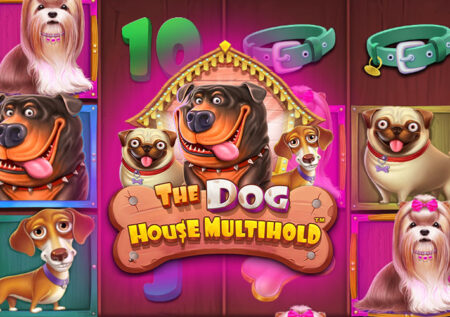 The Dog House Multihold от Pragmatic Play: Обзор игры