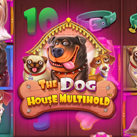 The Dog House Multihold от Pragmatic Play: Обзор игры