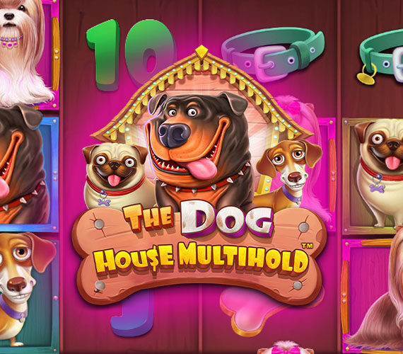 The Dog House Multihold от Pragmatic Play: Обзор игры