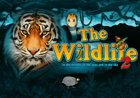 Игровой автомат The Wildlife 2 от Belatra про животных