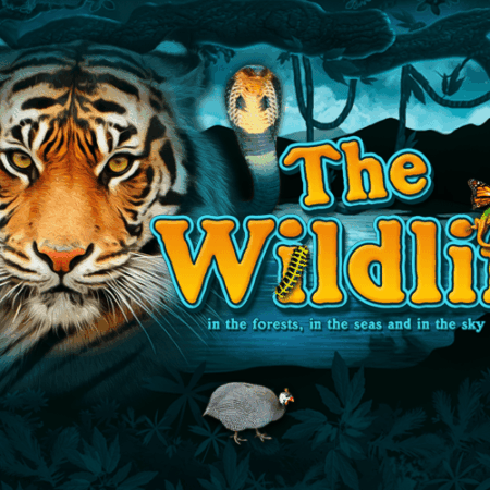 Игровой автомат The Wildlife 2 от Belatra про животных