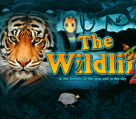 Игровой автомат The Wildlife 2 от Belatra про животных