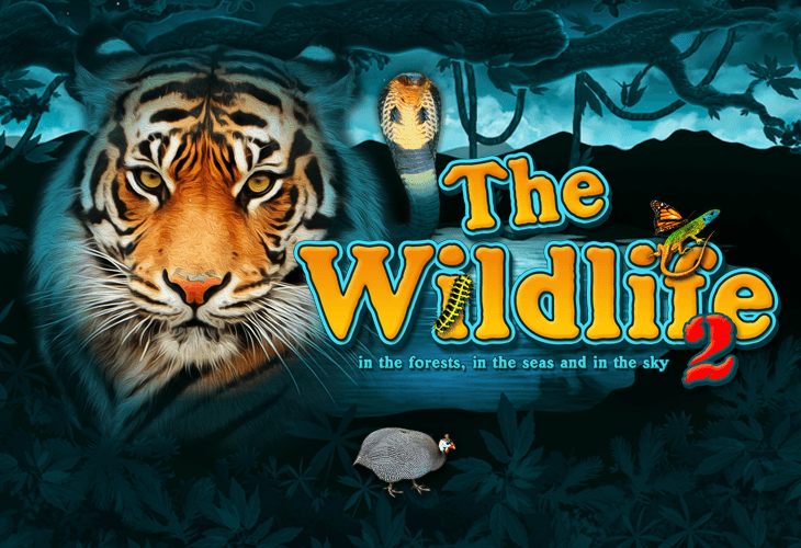 The Wildlife 2 - Belatra