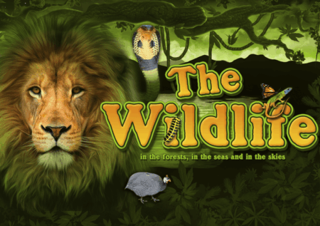 Игровой автомат The Wildlife от Belatra: Животные