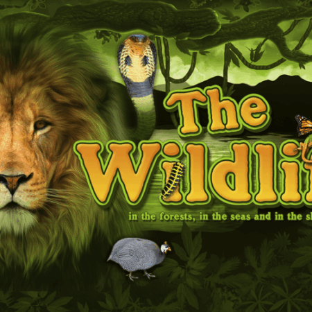 Игровой автомат The Wildlife от Belatra: Животные