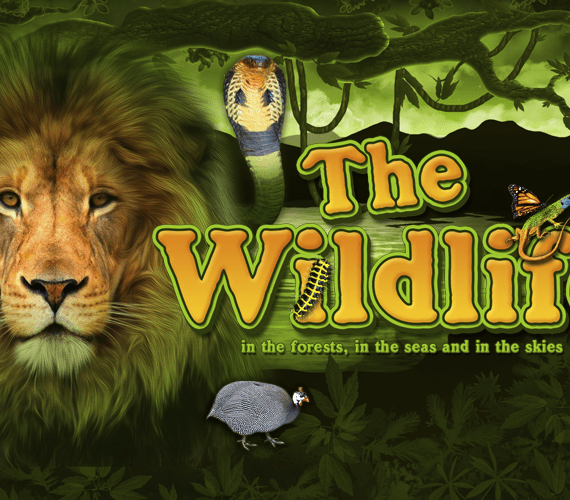 Игровой автомат The Wildlife от Belatra: Животные