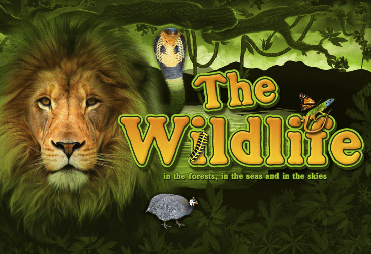 The Wildlife - Belatra