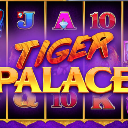 Игровой автомат Tiger Palace от DWG: обзор и особенности